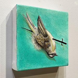 "This Bird" by Beata Krezalek