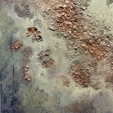 Load image into Gallery viewer, &quot;Monachopsis&quot; by Christy Nelson