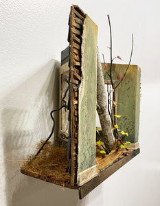 "Birch Tree" by Dan Herro