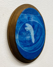 Load image into Gallery viewer, "Embryo of a Maple" by Emily Porter Tayler