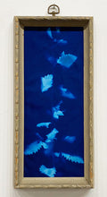 Load image into Gallery viewer, "Falling" by Emily Porter Tayler