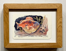 Load image into Gallery viewer, &quot;Fish No. 06&quot; by Eric Michael Hancock