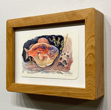 Load image into Gallery viewer, &quot;Fish No. 06&quot; by Eric Michael Hancock