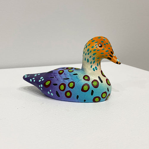 Painted Duck I by John Kowalczyk