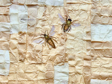 Load image into Gallery viewer, &quot;Habitat ~ Bees&quot; by Karla Fuller