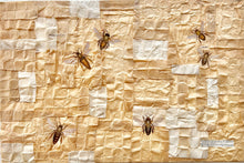 Load image into Gallery viewer, &quot;Habitat ~ Bees&quot; by Karla Fuller