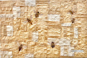 "Habitat ~ Bees" by Karla Fuller