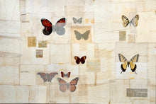 Load image into Gallery viewer, &quot;Habitat ~ Butterflies&quot; by Karla Fuller