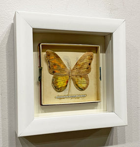 "Preserved as an Example of its Kind" by Karla Fuller