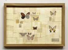 Load image into Gallery viewer, &quot;Habitat ~ Butterflies&quot; by Karla Fuller