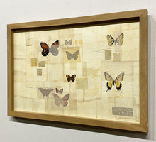 Load image into Gallery viewer, &quot;Habitat ~ Butterflies&quot; by Karla Fuller