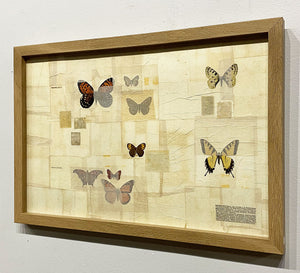 "Habitat ~ Butterflies" by Karla Fuller