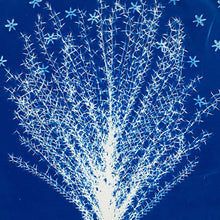 Load image into Gallery viewer, "Ephemeral" by Kim Tishler