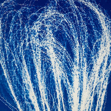 Load image into Gallery viewer, "Truthseeker" by Kim Tishler