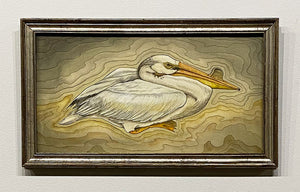 "Diorama Pelican" by Sue Lawton