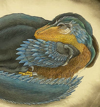 Load image into Gallery viewer, &quot;Sleeping Dromaeosaur&quot; by Sue Lawton