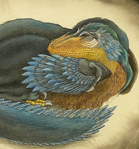 "Sleeping Dromaeosaur" by Sue Lawton