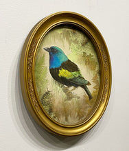 Load image into Gallery viewer, &quot;Taxidermy: Blue-necked Tanager&quot; by Sue Lawton