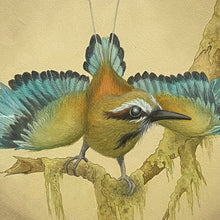 Load image into Gallery viewer, &quot;Turquoise-browed Motmot&quot; by Sue Lawton