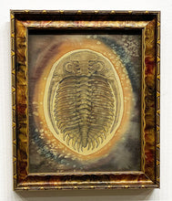 Load image into Gallery viewer, &quot;Astropyge filoxemia- Devonian&quot; by Ven Loetz