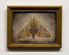 Load image into Gallery viewer, "Blinded Sphinx" by Ven Loetz