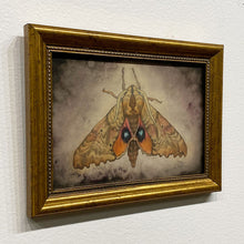 Load image into Gallery viewer, "Blinded Sphinx" by Ven Loetz