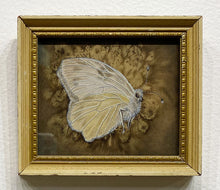 Load image into Gallery viewer, &quot;Checkered White&quot; by Ven Loetz