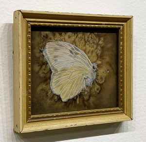 "Checkered White" by Ven Loetz