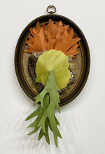 Load image into Gallery viewer, "Epiphyte: Elkhorn Fern" by Ven Loetz