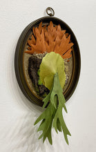 Load image into Gallery viewer, "Epiphyte: Elkhorn Fern" by Ven Loetz