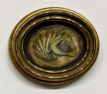 Load image into Gallery viewer, &quot;Roly-Poly Trilobite&quot; by Ven Loetz