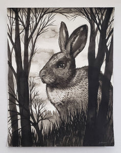 "The Rabbit" by Dan Herro