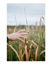 Load image into Gallery viewer, &quot;Cat Tail, Sleeping Bear, MI&quot; by Emily Porter