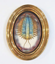 Load image into Gallery viewer, &quot;Triarthrus Trilobite&quot; by Sue Lawton